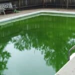 Rattraper une piscine verte avec de la javel