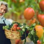 Astuces pour avoir des tomates rouges en août