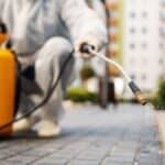 Désherbant naturel à base de liquide vaisselle et vinaigre