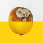 Citron moisi ? Ne le jetez pas, enterrez-le et regardez ce qui se passe