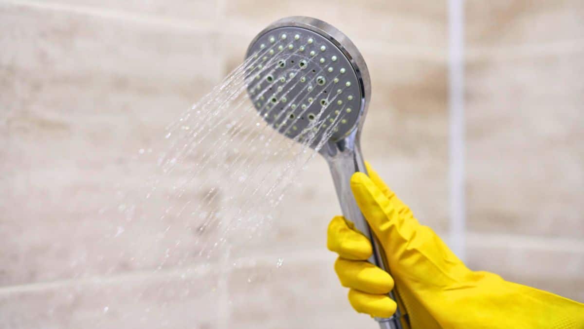 Pommeau de douche fatigué ? Découvrez comment le sauver sans le remplacer