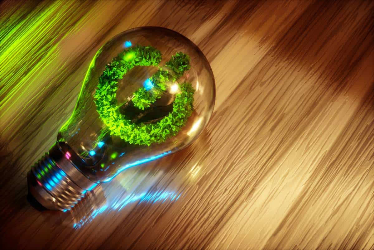 De la souscription à la facture : tout comprendre à l'offre verte